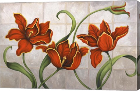 Framed Parrot Tulips Print