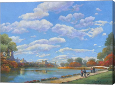 Framed Central Park Vista Print