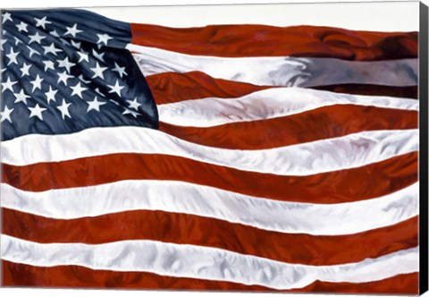 Framed American Flag Print