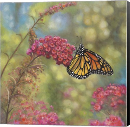 Framed Monarch Butterfly Print