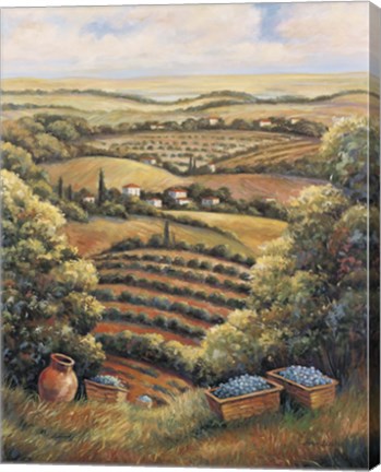 Framed Valley C Print