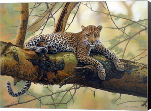 Framed African Leopard Print