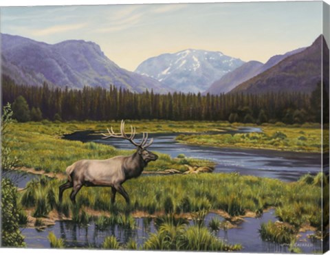 Framed Meadows Of Grand Lake, Colorado Print