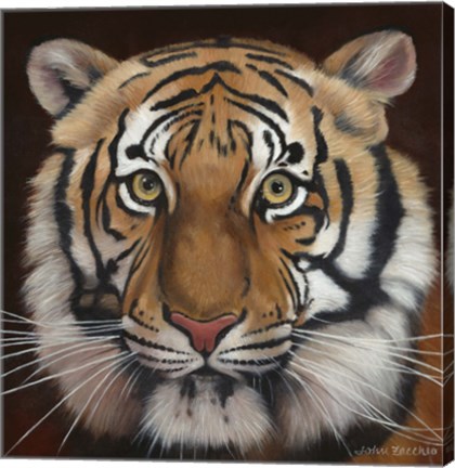 Framed Tiger Print