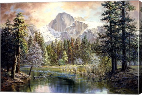 Framed Natures Wonderland Print