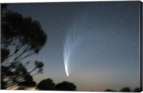 Framed Comet McNaught P1 Print