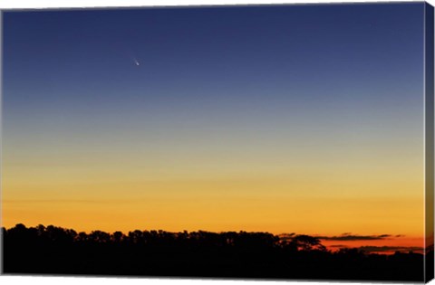 Framed Comet Panstarrs I Print