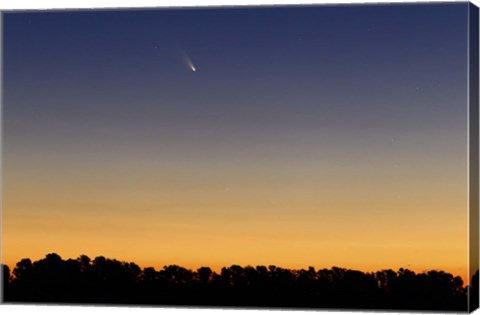 Framed Comet Panstarrs III Print