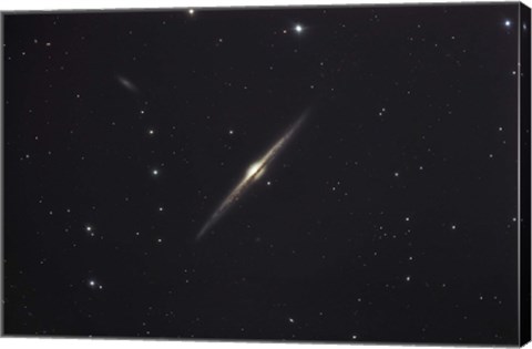 Framed NGC 4565, an edge-on unbarred spiral galaxy in the Constellation Coma Berenices Print