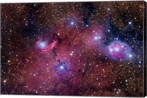 Framed NGC 6559 is a rich colorful tapestry of diverse nebulosity in the Constellation Sagittarius Print