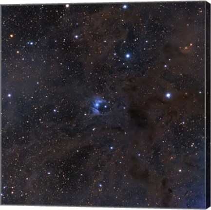 Framed bright star VdB 16, dust and nebulosity in the Constellation Aries Print