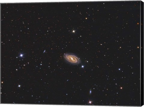 Framed Messier 109, a barred spiral galaxy in the Constellation Ursa Major Print