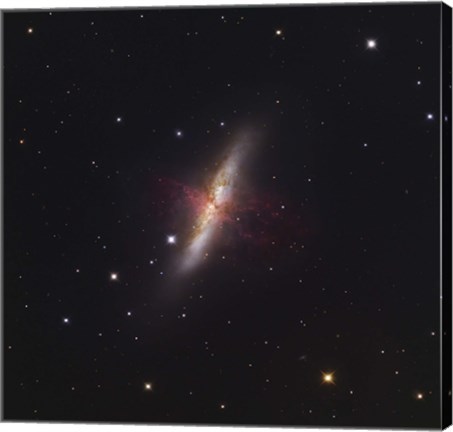 Framed Messier 82, a starburst galaxy in the Constellation Ursa Major Print