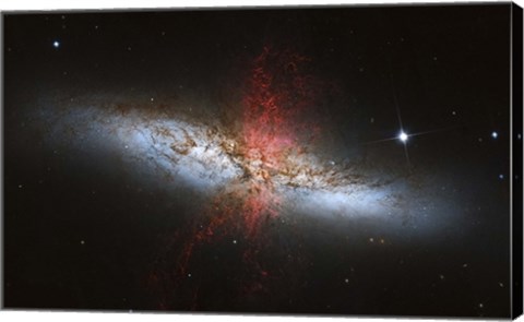 Framed Messier 82, a starburst galaxy in the Constellation Ursa Major Print