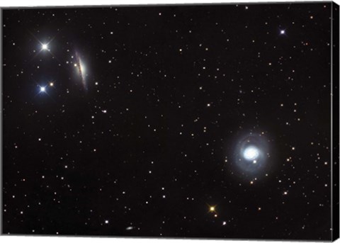 Framed Spiral galaxies NGC 1068 and NGC 1055 located in the Constellation Cetus Print