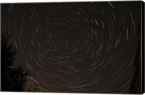 Framed Star Trails around Polaris in the Constellation Ursa Minor Print