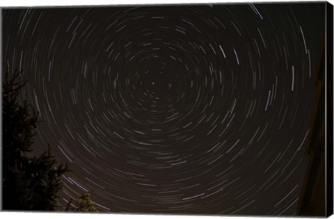 Framed Star Trails around Polaris in the Constellation Ursa Minor Print