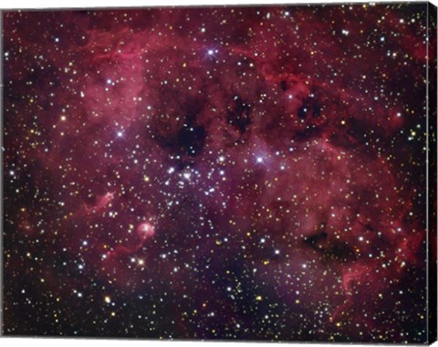 Framed IC 410 emission Nebula in Auriga Print