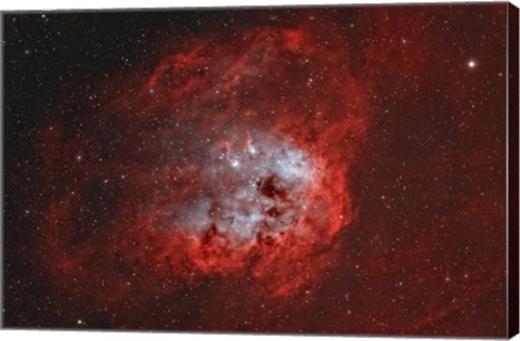 Framed Tadpole Nebula II Print