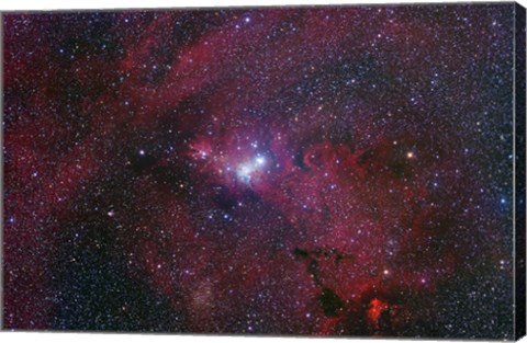 Framed NGC 2264, The Cone Nebula Region Print