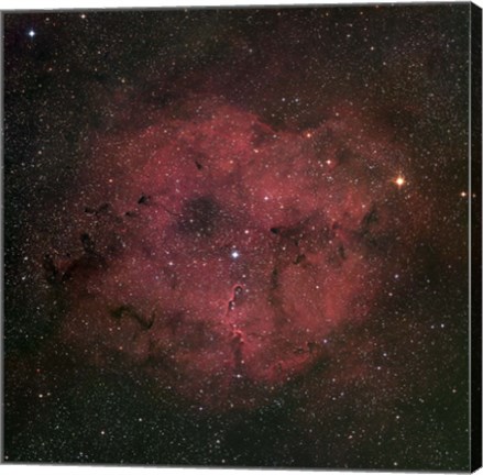 Framed large IC 1396 emission Nebula complex Print