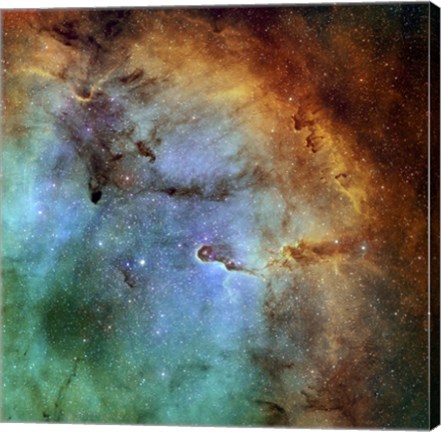 Framed Elephant Trunk Nebula III Print