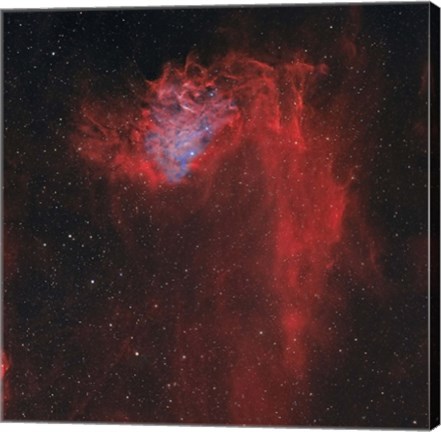 Framed Flaming Star Nebula I Print