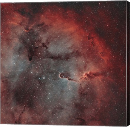 Framed IC 1396, The Elephant Trunk Nebula Print