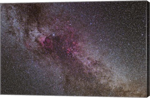 Framed North America Nebula and dark Nebulae in Cygnus I Print