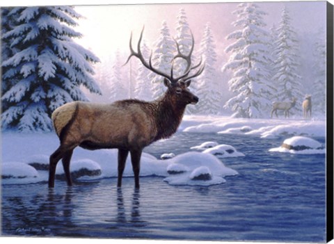 Framed Elk In Winter Print