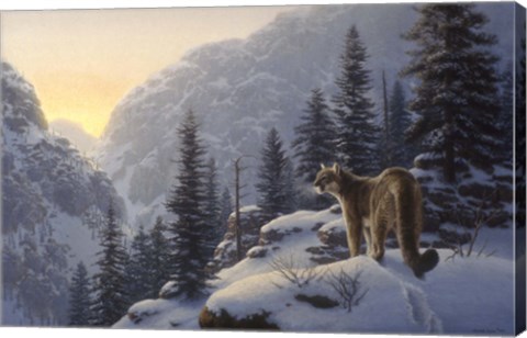 Framed Lot Of Cat Print