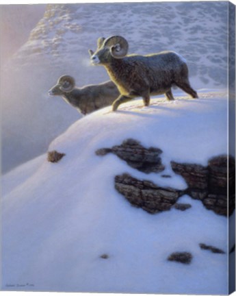 Framed Canyon Shadows Print