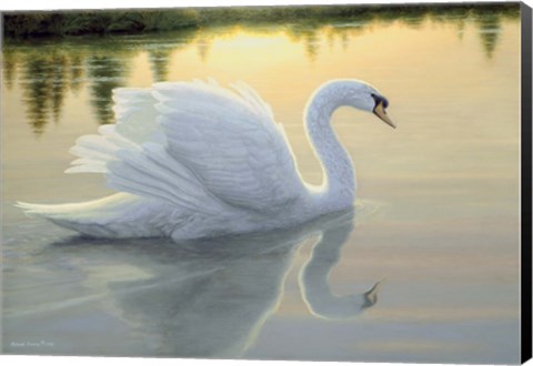 Framed Quiet Waters Print