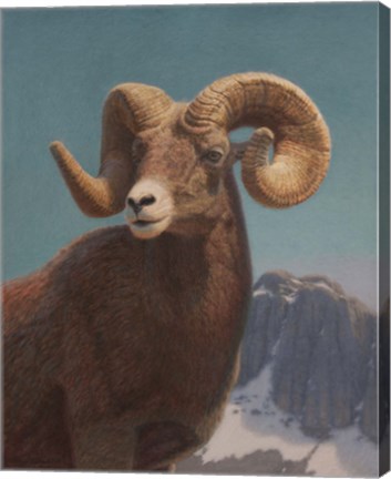 Framed High In The Rockies Print