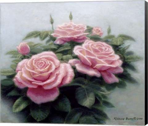 Framed Pink Ladies Print
