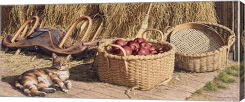 Framed Cider Season Print