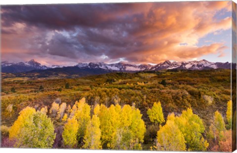 Framed Epic Fall Print