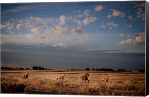 Framed Open Spaces Print
