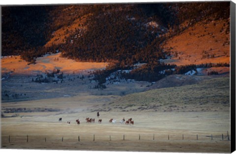 Framed Rusher Ranch Print