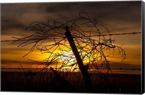 Framed Blowing in the Wind Print