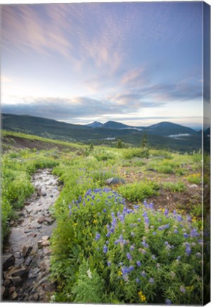 Framed Crested Butte Stream Print