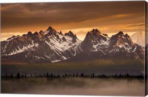 Framed Devils Horn Print