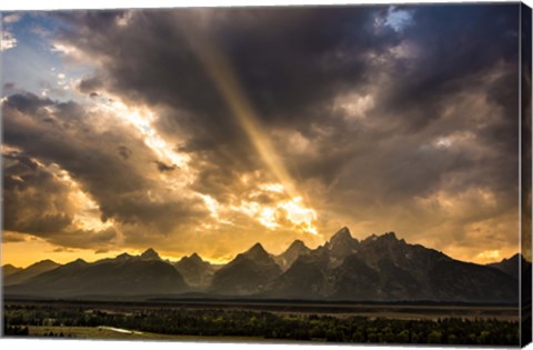 Framed Power Of Beauty Print