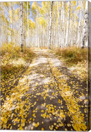 Framed Road To Fall Print