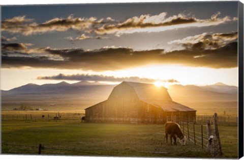 Framed Wet Mountain Barn I Print