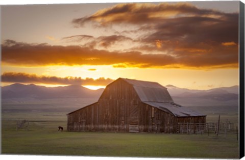 Framed Wet Mountain Barn II Print