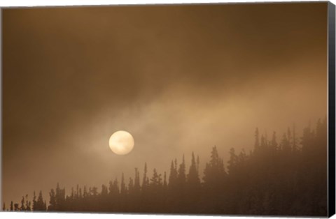 Framed Wild Moon II Print