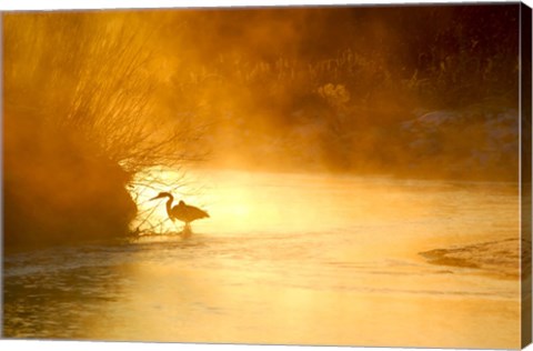 Framed Glowing Mist Print