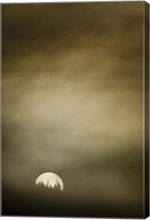 Framed Wild Moon I Print