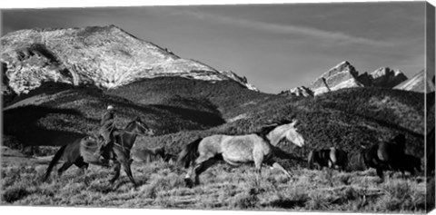 Framed Roping the San Greys Print